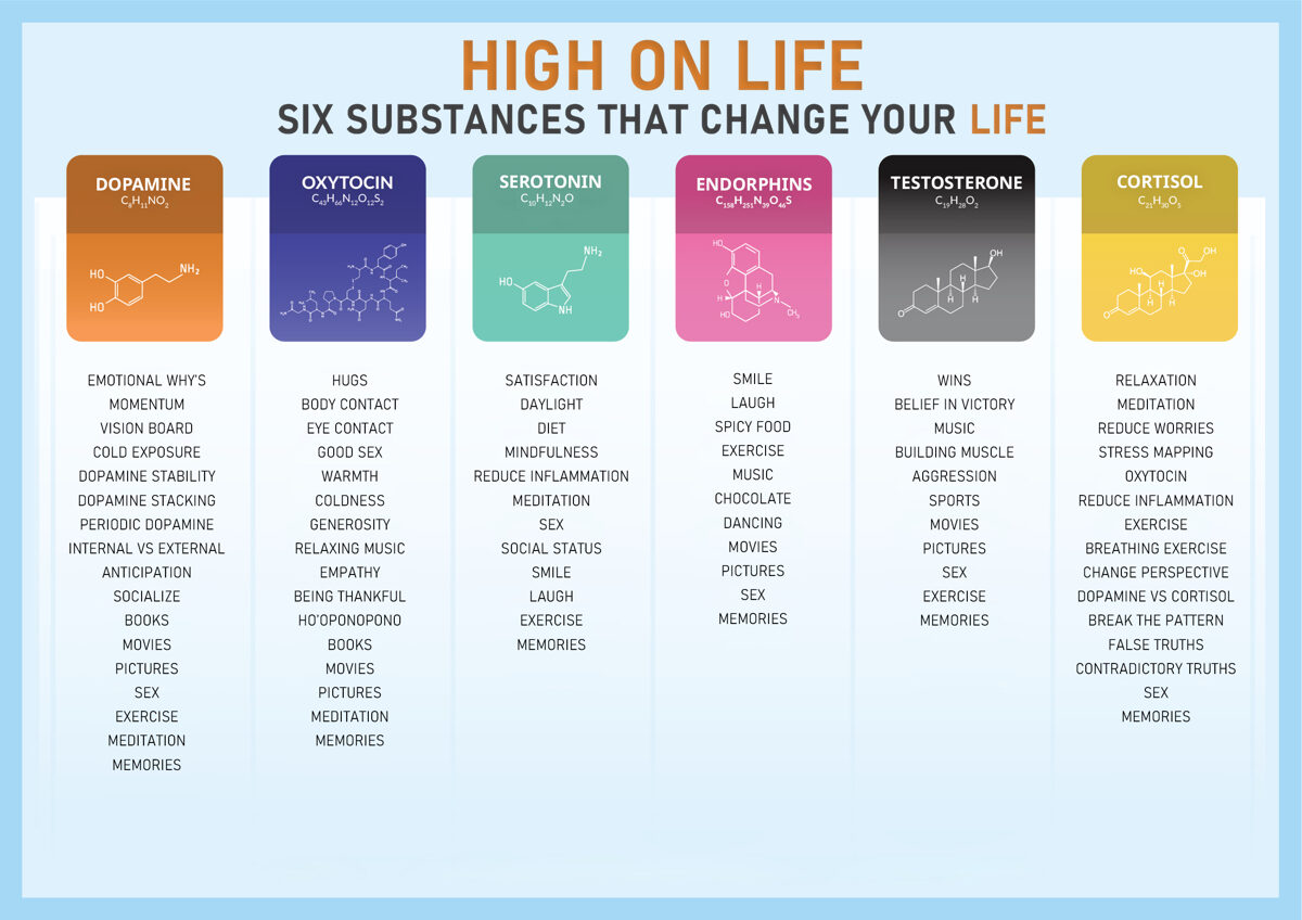 High_on_Life_infograph_-1.jpg