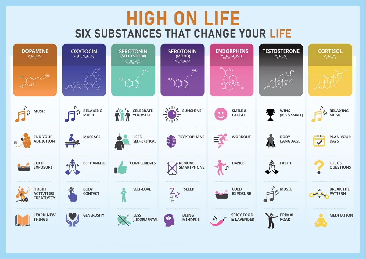 High_on_Life_infograph_-2.jpg